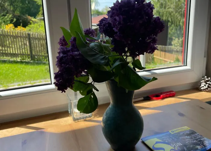 Lebensfreude Apartmán